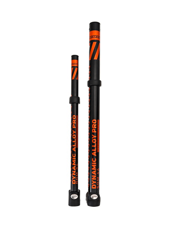 RRD Dynamic PRO SDM Extension Y25