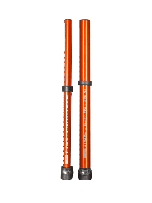 RRD Dynamic SDM Extension Y22