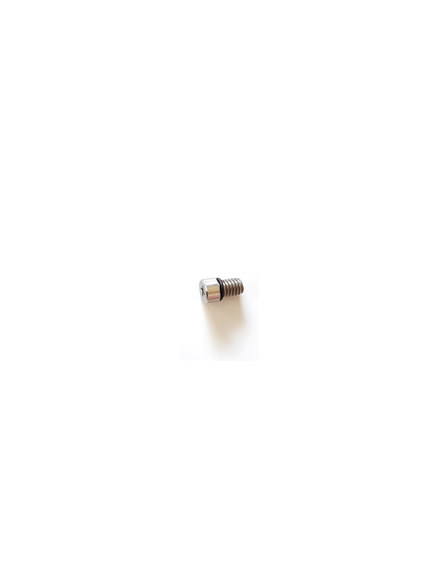 RRD Screws AIR Valve With O/ring