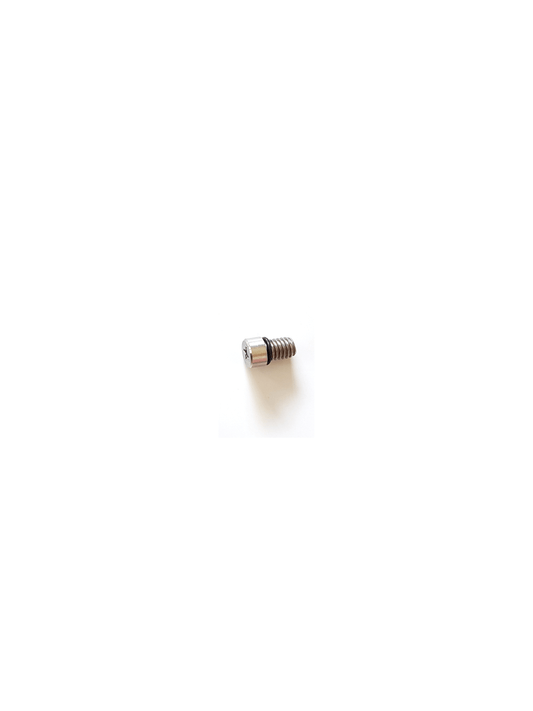 RRD Screws AIR Valve With O/ring